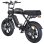 Bici elettrica ENGWE M1 Motore 48V 250W Pneumatici 20x4.0 Freni a disco idraulici Nero