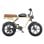 ENGWE M1 48V 250W Elektrofahrrad 20x4.0 Reifen Hydraulische Bremsen