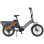 Vélo électrique ENGWE LE20 250 W 48 V 19,2 Ah avec freins hydrauliques et application Gris