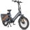 Vélo électrique ENGWE LE20 250 W 48 V 19,2 Ah avec freins hydrauliques et application Gris