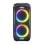 Denver 100 W kabellose Bluetooth-Lautsprecher mit USB, microSD und integriertem Mikrofon