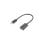 USB Adapter Lanberg AD-UC-UA-04 0,15 m USB A USB C USB 3.2 Gen 1 5 Gbit/s Schwarz USB Adapter Lanberg AD-UC-UA-04 0,15 m USB A USB C USB 3.2 Gen 1 5 Gbit/s Schwarz