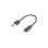 Adaptador USB A a USB C Lanberg AD-UC-UA-03 0.15m USB 3.2 Gen 1 5Gbps Negro