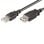 Câble Ewent EC1011 1 m USB A Macho/Hembra Noir
