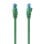 Cavo di rete Aisens A135-0808 Cat.6 UTP 1000Mbps 75cm Verde RJ45