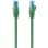 Cavo di rete Aisens A135-0808 Cat.6 UTP 1000Mbps 75cm Verde RJ45