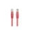 Cabo Lanberg PCU6-20CC-0100-R Cat6 1m U/UTP Vermelho RJ-45 RJ-45
