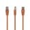 Cable de red Gembird 26GEMPP1205MO 0.5m Cat5e RJ-45 Oro Naranja