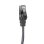 Câble Adaptateur Ewent EC2004 USB-C 3.1 à RJ45 CAT6 FTP 1GB 5m Noir