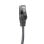 Cable Adaptador Ewent EC2001 USB-C 3.2 Gen1 a RJ45 CAT6 1Gbps 1.5m Trenzado Negro