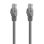 Cabo de Rede RJ45 AISENS A145-0325 Cat6A UTP 0,5m 10Gbps Cinza