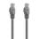 Cabo de Rede RJ45 AISENS A145-0325 Cat6A UTP 0,5m 10Gbps Cinza