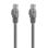 Câble RJ45 AISENS A145-0328 Cat.6A U/UTP 100% Cuivre 3M Gris