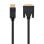 Adapterkabel Nanocable 10.15.4502 DisplayPort auf DVI 2m Vergoldet 24K Schwarz