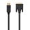 Adapterkabel Nanocable 10.15.4502 DisplayPort auf DVI 2m Vergoldet 24K Schwarz