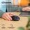 Mouse Trust Ozaa Compact Wireless Bluetooth RF 3200 DPI Nero Silenzioso