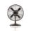 Ventilateur de Bureau Puissant 30 cm 4 Pales 40W Oscillation 3 Vitesses