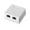 Roseta de superficie AISENS A139-0304 Cat6 FTP 2 x RJ45 Blindada Blanco RoHS