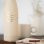 Bouteille en métal chaud et froid 500 ml Harry Potter Hedwige