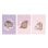 Pack 3 Cuadernos A5 Pusheen Moments