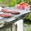 Innovagoods Ig827755 Pack Barbacoa Plegable De Acero Inoxidable Para Carbón Y Esterilla Para Horno Y Barbacoa 40 X 33 Cm
