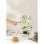 Create - Thera Retro - Cafetera Express Verde - 3 -