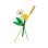 LEGO Botanical Flores do Campo Conjunto 30701 Bouquet Selvagem Decorativo Realista Colecionável