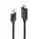 Cabo DisplayPort para HDMI 3m Lindy 36923 3840x2160 Pixéis Preto Macho