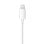 Ecouteurs Apple EarPods filaires Lightning intra-auriculaires micro contrôle câble blancs