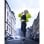 Hama Spirit Calypso II Auscultadores Bluetooth 5.3 Circumaurais 60h Verde/Cinzento/Branco