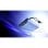 Intenso 7332035 batería externa Polímero de litio 10000 mAh Azul