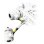 Cavo di Sicurezza Mobilis 001223 Lucchetto a Chiave Acciaio Bianco 1,8 m Cavo di Sicurezza Mobilis 001223 Lucchetto a Chiave Acciaio Bianco 1,8 m