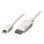 Kabel Lindy 41059 5 m DisplayPort Weiß Nickel 10,8 Gbit/s Männlich/Weiblich