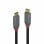 Cable USB-C Lindy 36903 2m chapado en oro USB 3.2 Gen 2 20Gbit/s 100W Negro