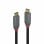 Cable USB-C Lindy 36903 2m chapado en oro USB 3.2 Gen 2 20Gbit/s 100W Negro