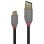 USB C auf USB A Kabel Lindy 36910 0,5 m 10 Gbit/s Schwarz Grau