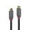 Cable USB C Lindy 36902 1,5m 10Gbps Chapado Oro Negro/Gris PVC RoHS