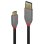 Cable USB Lindy 36911 1m USB-C a USB-A Macho 10Gbps Chapado Oro Negro Gris