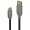 Cable USB Lindy 36911 1m USB-C a USB-A Macho 10Gbps Chapado Oro Negro Gris