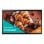 Monitor profesional Samsung QB24C-T 24" LED Full HD Táctil Wifi Bluetooth SoC Tizen 7.0