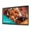 Monitor profesional Samsung QB24C 24" Full HD LED Wifi Tizen 7.0 16/7 Black