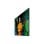 Digital Signage Display Samsung QM43C 43" 4K UHD IPS LCD Tizen 7.0 Smart Display Digital Signage Display Samsung QM43C 43" 4K UHD IPS LCD Tizen 7.0 Smart Display