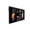 Display Philips 50BDL3117P/00 127 cm 4K Ultra HD LCD Schwarz Display Philips 50BDL3117P/00 127 cm 4K Ultra HD LCD Schwarz