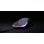 Maus CHERRY XTRFY M1 RGB Hand Rechts Optisch USB Typ A 7200 DPI Schwarz