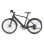 Bicicleta eléctrica DYU Stroll 1 250W Batería 36V 9Ah 100km Plegable Hidráulicos Negra