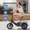 Bicicleta eléctrica DYU C3 plegable 14" 36V 7,5Ah 25km/h LED frenos disco IP54 negra
