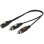 Adaptateur Audio RCA 2x Macho 3,5 mm Hembra 0,2 m Noir Vivanco 46/05 01