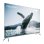 TV Cecotec QLED VQU30075+S 75" 4K Ultra HD Full Array HDMI 2.1 Dolby Vision Android TV