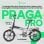 Bicicleta eléctrica YOUIN Praga Pro BK1850 plegable aluminio correa Gates 250W 60km FAT