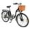 Bicicleta eléctrica DYU C6 350W 12,5Ah 26" Suspensión Almacenamiento Frenos Disco